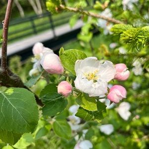 Meet your Posher, Vern